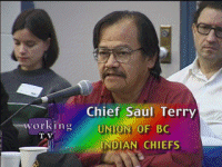 Chief Saul Terry