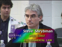 Steve Shrybman